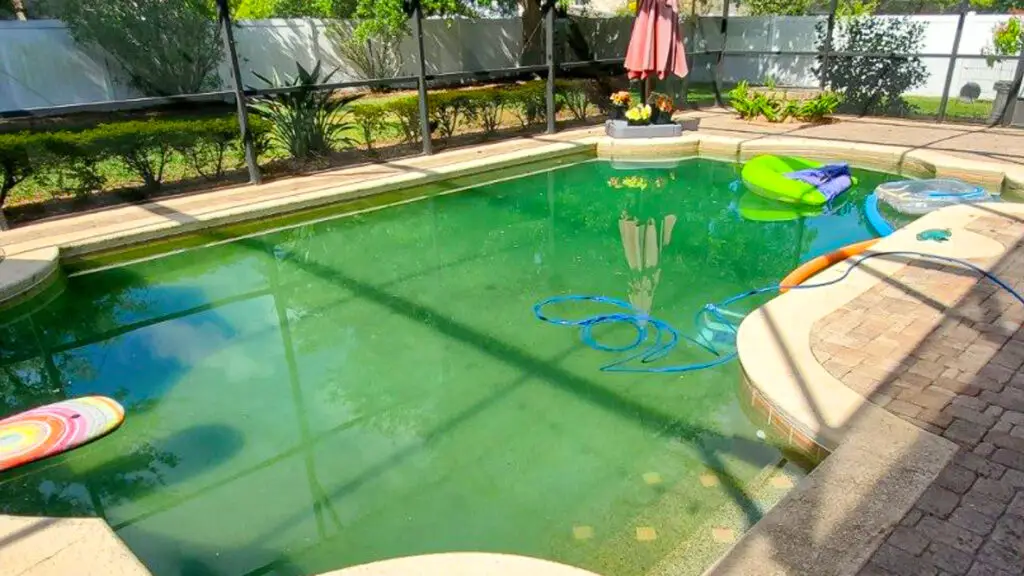 Screened pool with green, algae-filled water before a Windermere clean-up